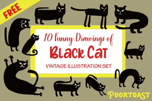 Download Funny Black Cat Set - Premium Bundle