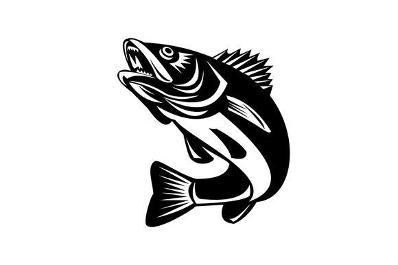 Download Walleye Fish Jumping Isolated Black - Black Collection