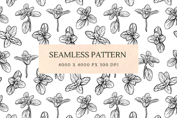 Download Basil and Oregano Leaves Pattern - Basil Collection