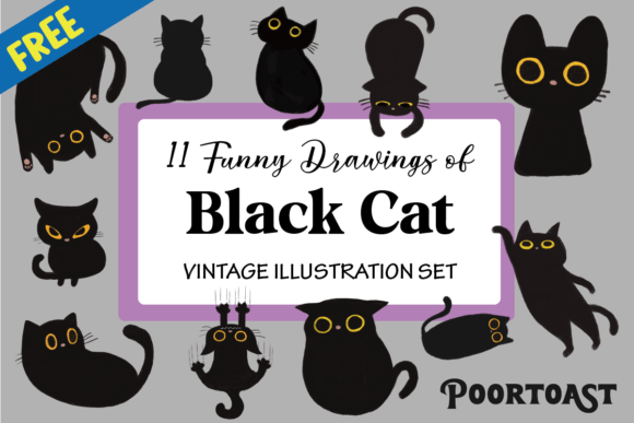 Download Black Cat Collection - Premium Resources